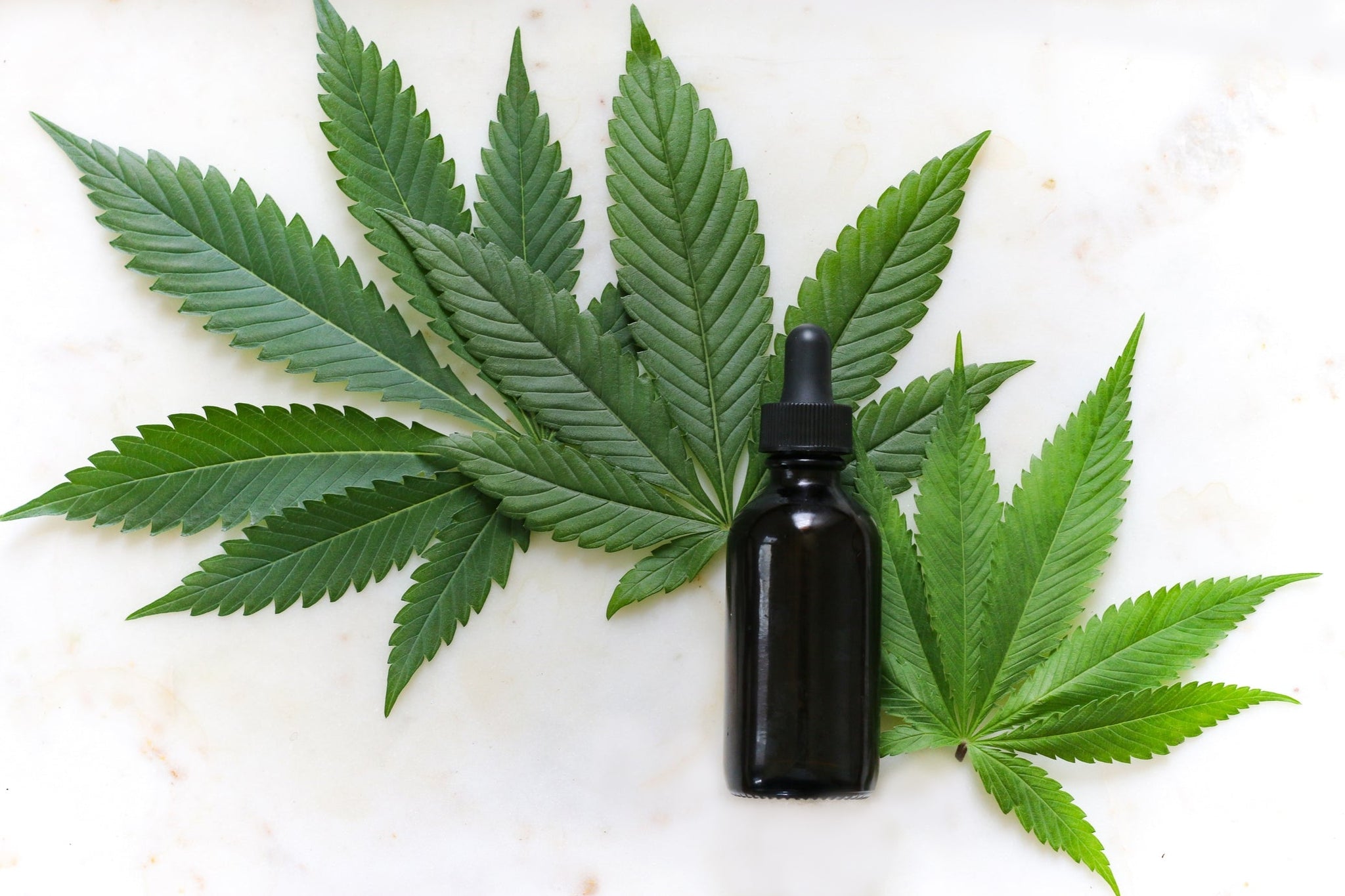 How CBD (Cannabidiol) Oil May Help Motorcycle-related Injuries